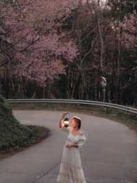 เชียงราย