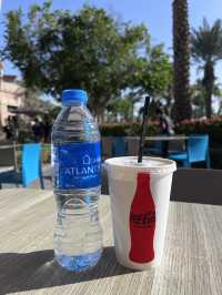 World’s BIGGEST - Aquaventure Park in Atlantis The Palm 