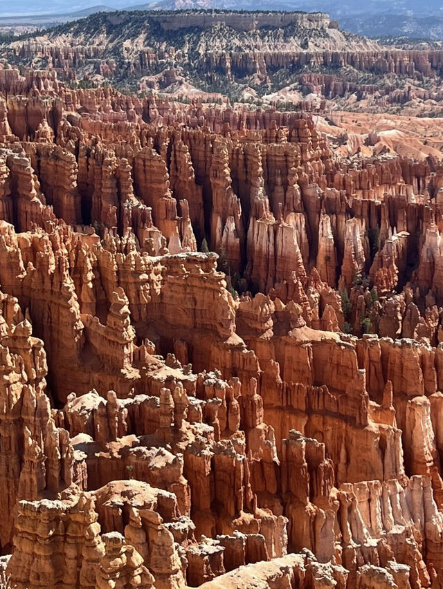  A Nature’s Sculptures – My Getaway to Bryce Canyon National Park 