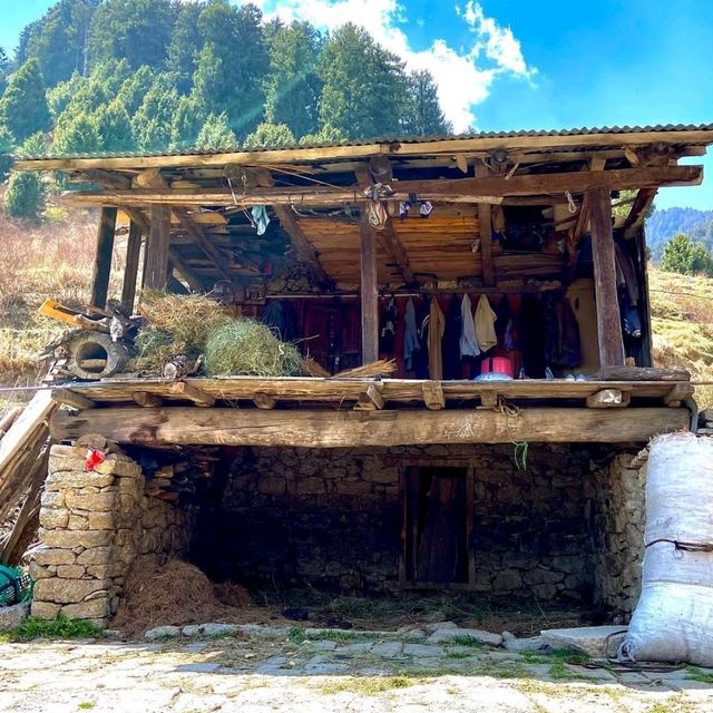 🏔️ Explore Leh Ladakh – The Land of High Passes 🌟
