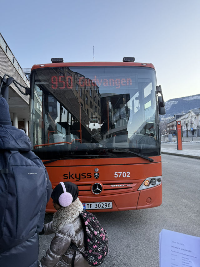 A Dreamy Day at Sognefjord: A Perfect Honeymoon Destination💞