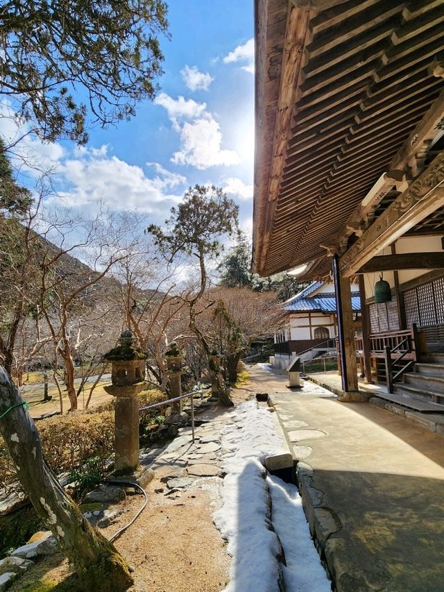 【山口グルメ】長門・蒼と芋と。