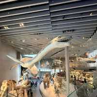 สุดยอดพิพิธภัณฑ์ Shanghai Natural History Museum