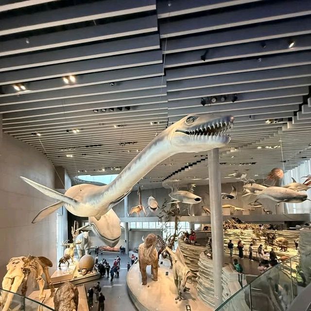 สุดยอดพิพิธภัณฑ์ Shanghai Natural History Museum