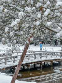 【金沢】幻想的な雪景色の兼六園