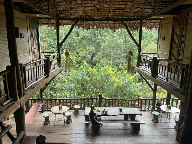 🌿 บ้านต้นไม้แม่แมะ จ.เชียงใหม่ 🌿