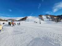 Niseko Annupuri International Ski Area