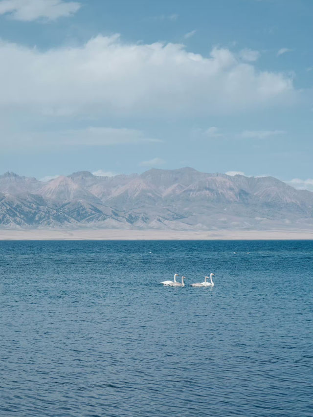 🇨🇳 Serenity Awaits: Exploring the Beauty of Sailimu Lake in Xinjiang