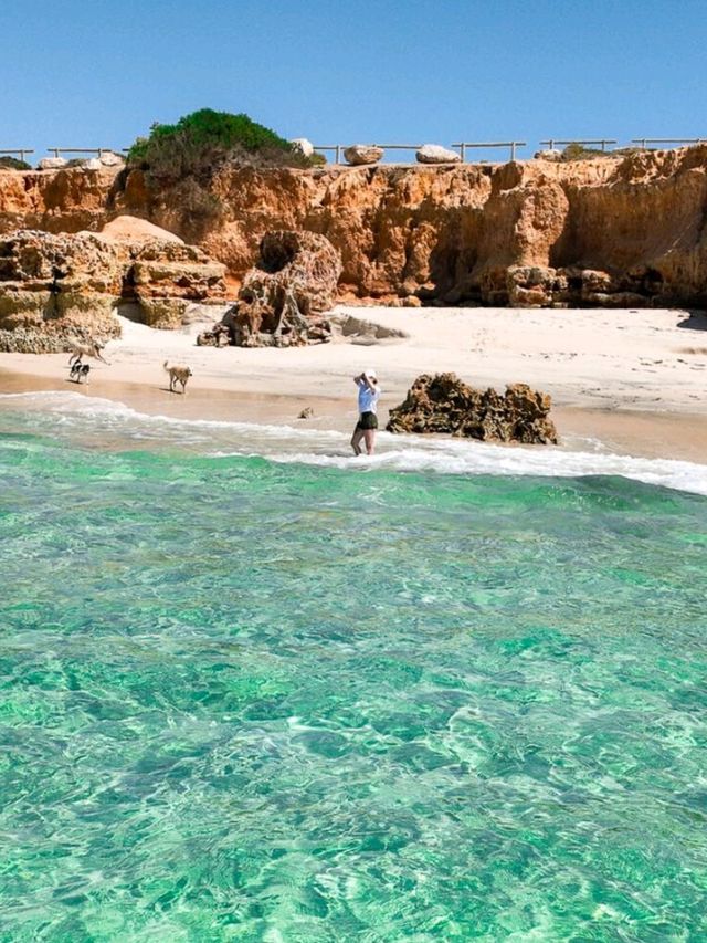 🌊 Discover the Tranquil Beauty of Arno Bay, South Australia 🇦🇺