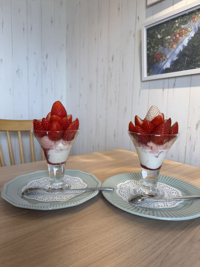 【福岡観光】その日に採ったいちごが食べられる🍓いちご摘みできる農園さんのカフェ🍓