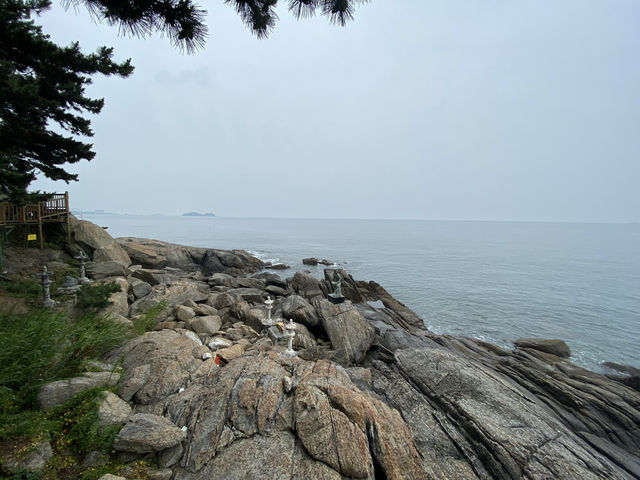 충청남도 죽도 상화원, 숨겨진 섬 속 힐링 여행 
