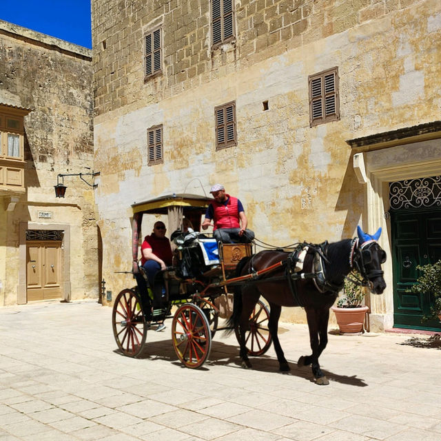 The charming Mdina 