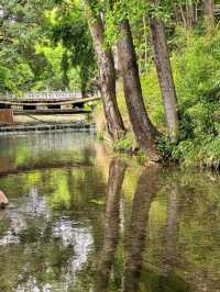 Jiuding Longtan: The Sacred Water Source