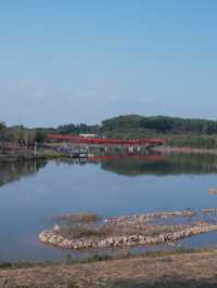 深圳免費公園｜光明虹橋超出片
