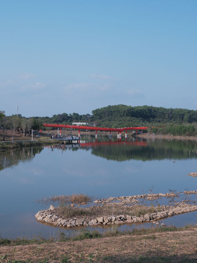 深圳免費公園｜光明虹橋超出片