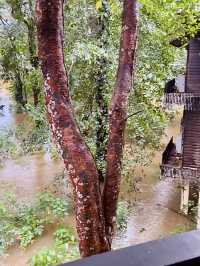 “Serenity on Stilts: Mulu Marriott Resort & Spa Above the Water”