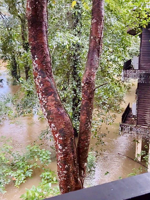 “Serenity on Stilts: Mulu Marriott Resort & Spa Above the Water”