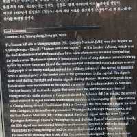 N Seoul Tower (N首爾塔)