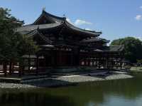 A Glimpse into Japan’s Timeless Elegance: Byodo-In Temple