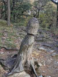 Ingleton Waterfalls Trail