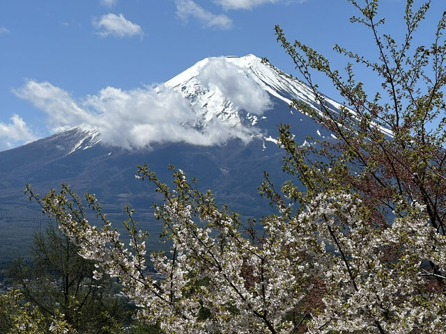 The Ultimate Mt. Fuji View: Arakurayama Sengen Park
