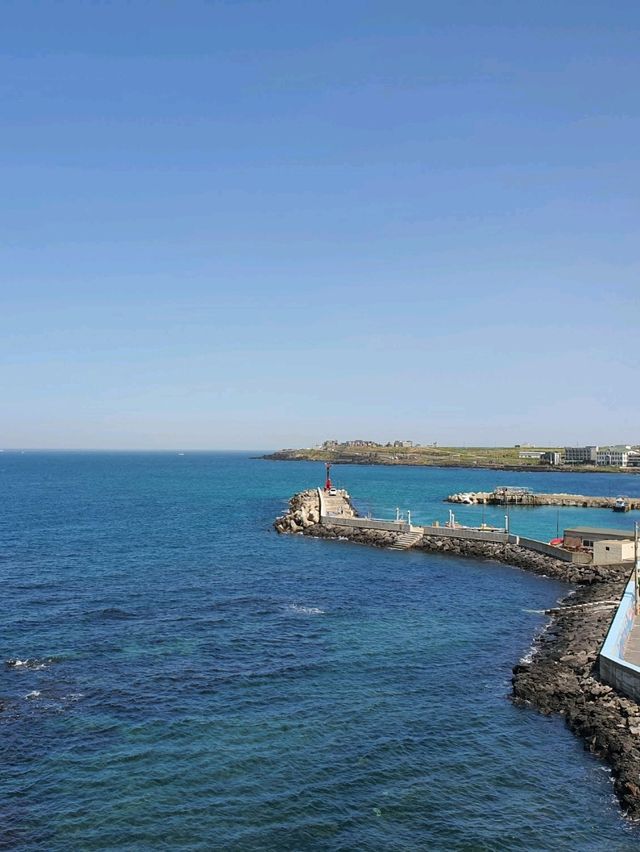 ☕ 우리나라에서 가장 예쁜 빽다방 💙 빽다방 제주 사수점