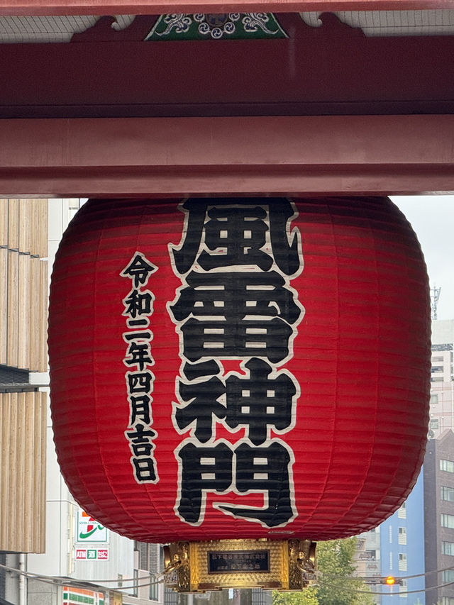 秋葉原、淺草與上野動物園的一日遊冒險 🌟