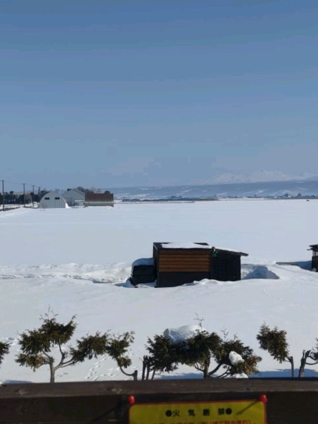 HOKKAIDO TRIP2025