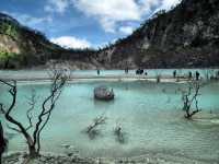 Delightful Destination in Bandung