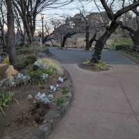 Chidorigafuchi (千鳥ヶ淵)
