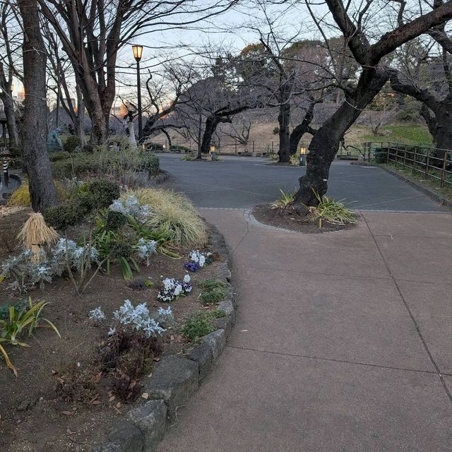 Chidorigafuchi (千鳥ヶ淵)