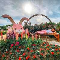 🌻SUNCHEON BAY NATIONAL GARDEN 🌺