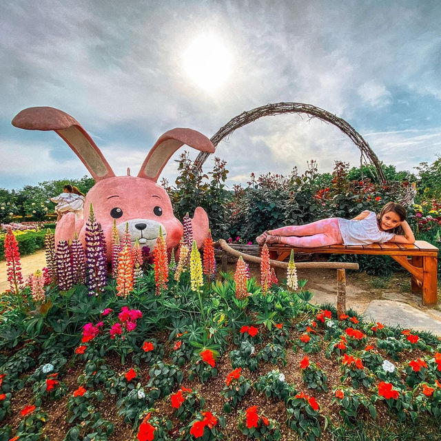 🌻SUNCHEON BAY NATIONAL GARDEN 🌺