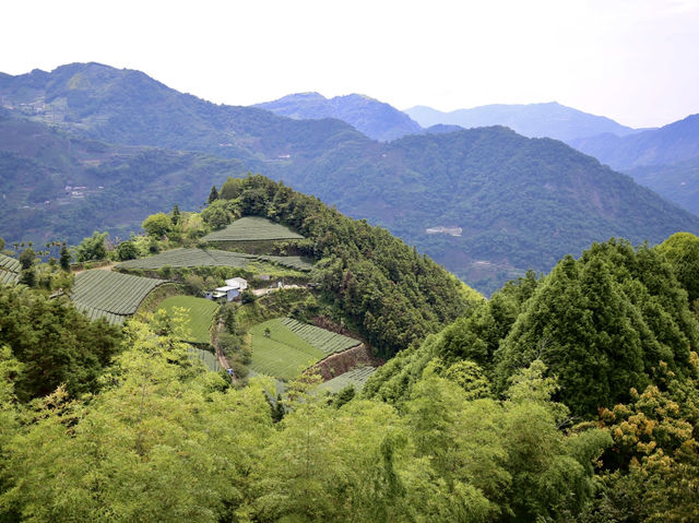 發現隱世秘境：仙境寒溪呢的夢幻之旅 🌸🏞️