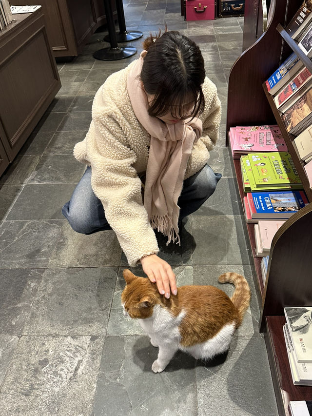 상해에서 꼭 가봐야할 서점 추천 ! 