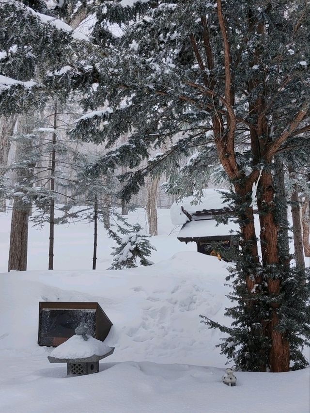 小樽春雪~天狗山觀景台及天狗山神社