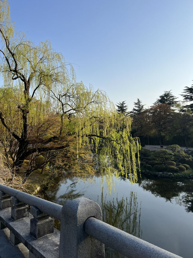 경주 벚꽃 여행 2박 3일 여행 1일차