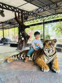 泰國🇹🇭大城動物園