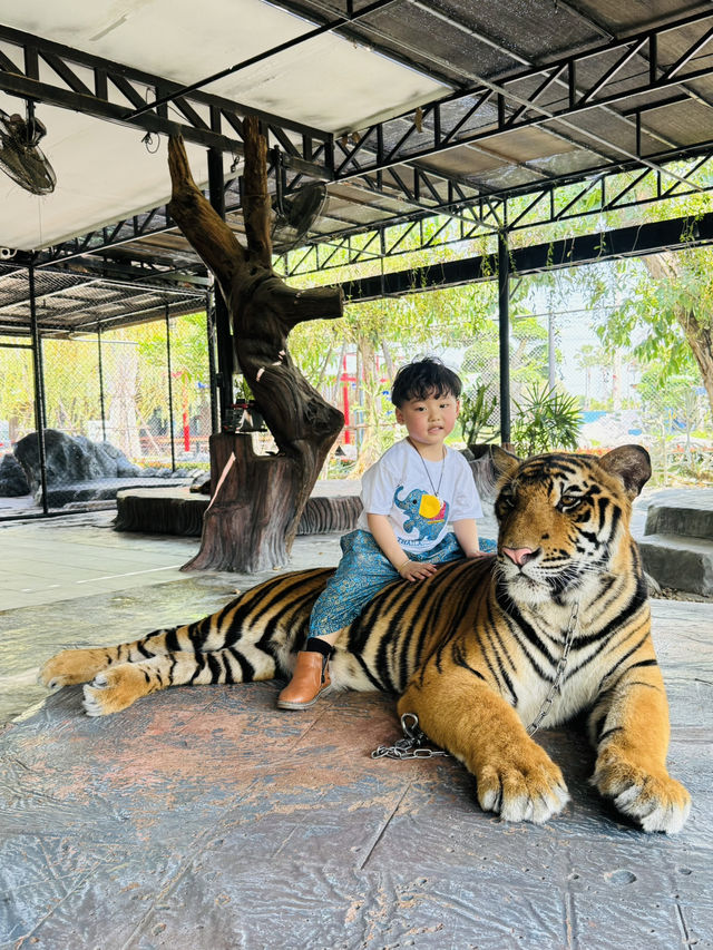 泰國🇹🇭大城動物園