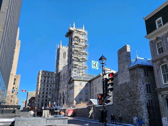 モントリオールの魅力を存分に楽しむ：文化、食、景観が織りなすカナダの都市