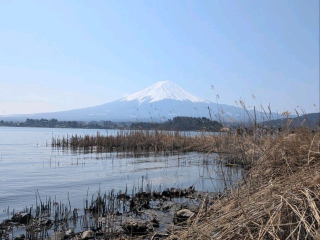 History of the trip to Kawaguchiko (23.03.25)