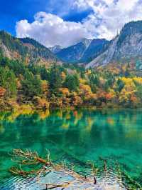 Jiuzhaigou’s Stunning Autumn Scenery