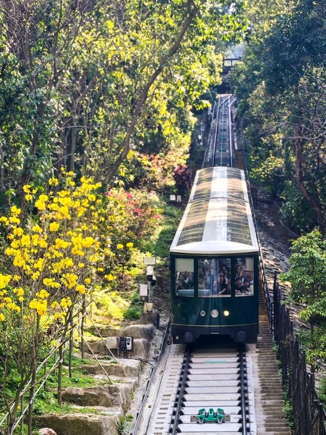 🚞中環纜車徑：新舊纜車的時光對話🛤
