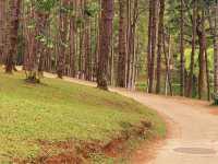 Pang Ung Camp Site - ลานกางเต็นท์ปางอุ๋ง