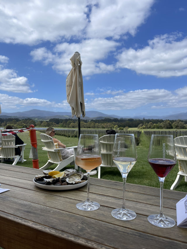 Chill afternoon at Chandon Winery in Melbourne! 🍾🥂