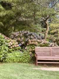 Spring's Photographer's Paradise 