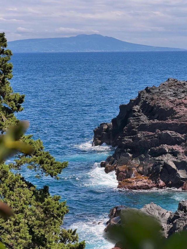 🌊 伊豆大室山 & 城ヶ崎海岸 日帰り旅行 🏝️