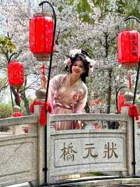 When Hanfu Meets Sakura: The Enchanting Beauty of Luoyi Ancient City