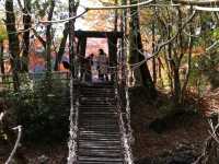 文藝 . 四國村