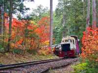 Chasing Autumn Foliage at Kiso Valley